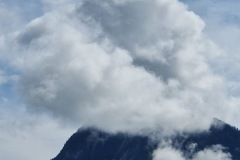 e3a8fb92-a2a8-40c6-89c2-070aaee10997