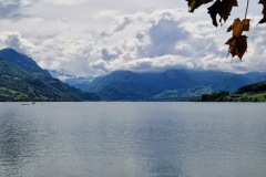 e8f6e427-8615-4697-adc6-ace435125143