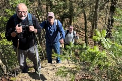 0dd31888-0656-41c2-97bf-635d1faaf9ed