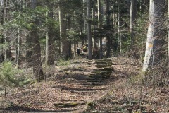 7474f602-c1fa-4437-824e-d4e2325147ee