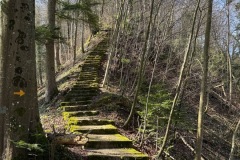 ef577a0c-0b6b-4365-8864-04fe8bc120df