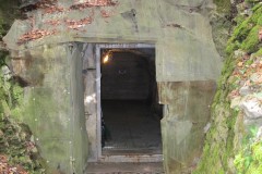 IMG_6586