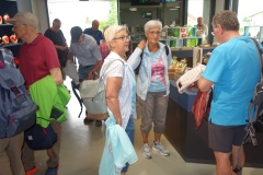 13-DSC08862