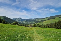 9c9742b6-49b2-4839-937b-a9ab430f4bba