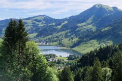 dd0ad47e-28ee-4cb9-8023-cdecffdc7992