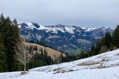 IMG_3785