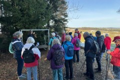 2a88992e-65ba-49b1-9213-3ef2b0b8454c-2-2