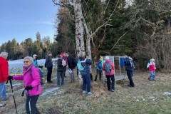 7ceae236-79de-4a04-8b52-68514293c876-2-2