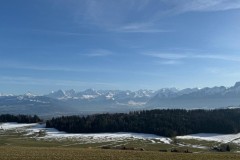 b8956d60-10b9-4ec1-8238-ce1513b31456-2-2