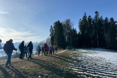 ff53a918-d428-4448-9aef-459eb62137b8-2-2