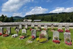 3b16f216-0a01-4fb5-b735-ecf897e4c618